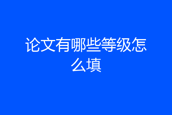论文有哪些等级怎么填