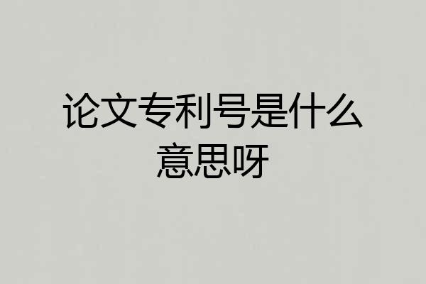 论文专利号是什么意思呀