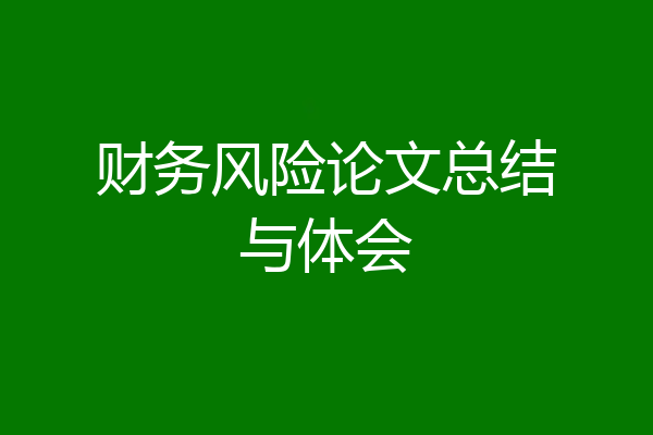 财务风险论文总结与体会