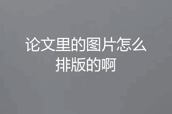 论文里的图片怎么排版的啊