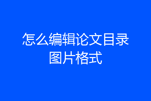 怎么编辑论文目录图片格式