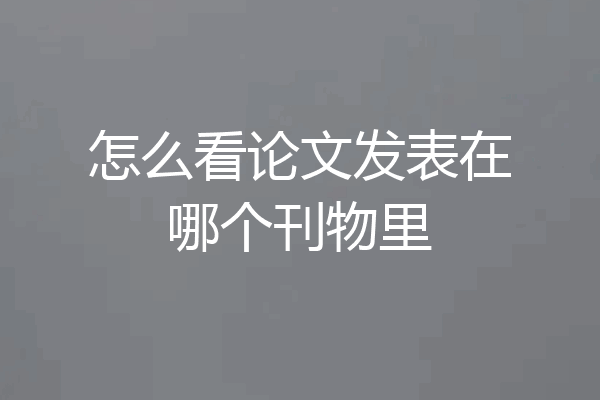 怎么看论文发表在哪个刊物里