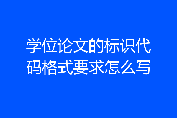 学位论文的标识代码格式要求怎么写