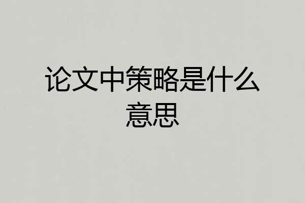 论文中策略是什么意思