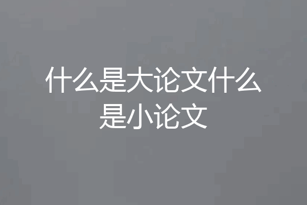 什么是大论文什么是小论文