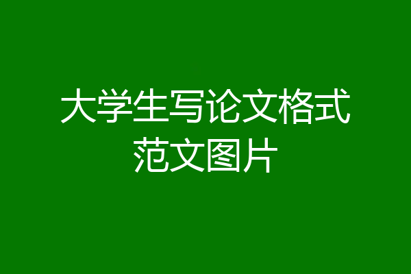 大学生写论文格式范文图片