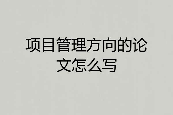 项目管理方向的论文怎么写