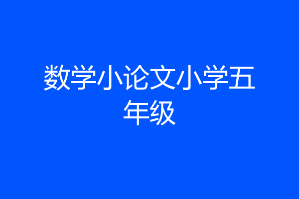 数学小论文小学五年级