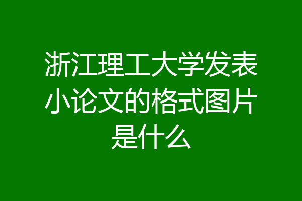 浙江理工大学发表小论文的格式图片是什么