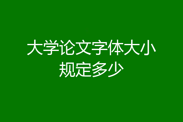 大学论文字体大小规定多少