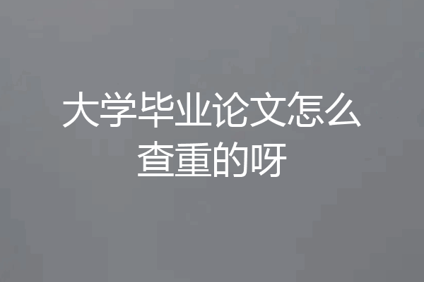 大学毕业论文怎么查重的呀