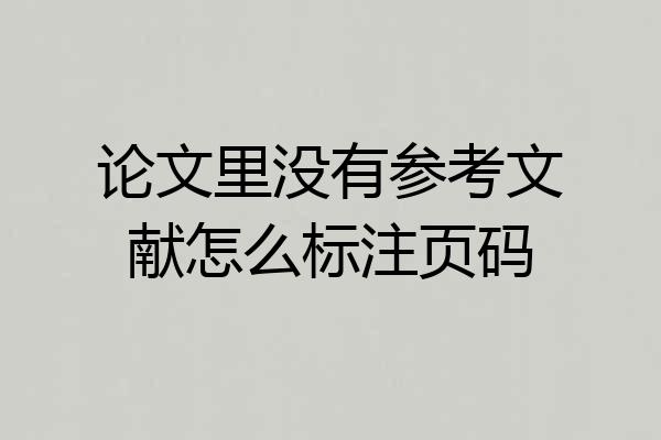 论文里没有参考文献怎么标注页码