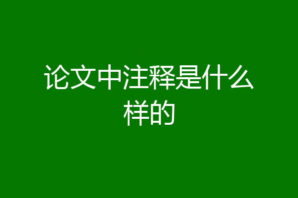 论文中注释是什么样的