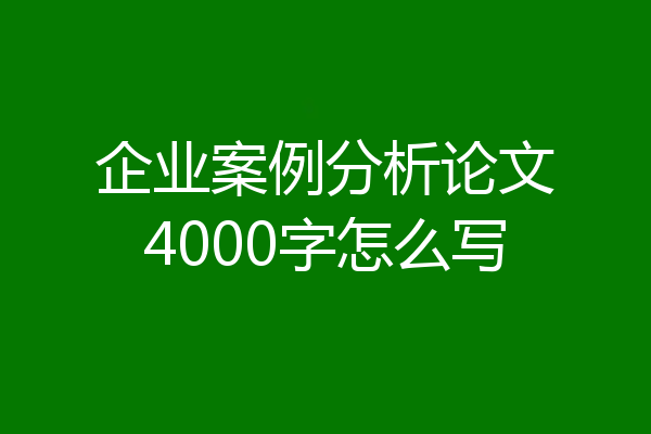 企业案例分析论文4000字怎么写