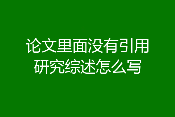 论文里面没有引用研究综述怎么写