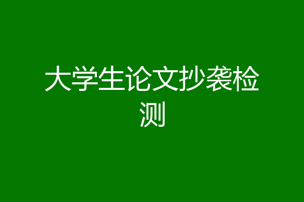 大学生论文抄袭检测