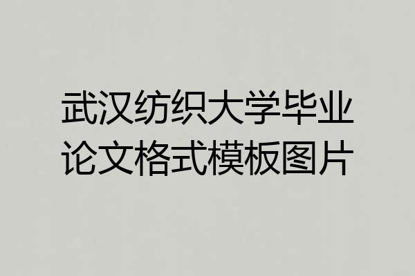武汉纺织大学毕业论文格式模板图片