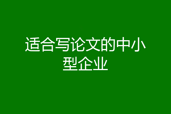 适合写论文的中小型企业