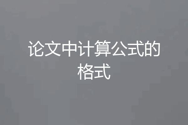 论文中计算公式的格式