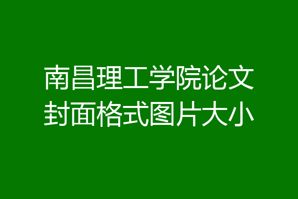 南昌理工学院论文封面格式图片大小