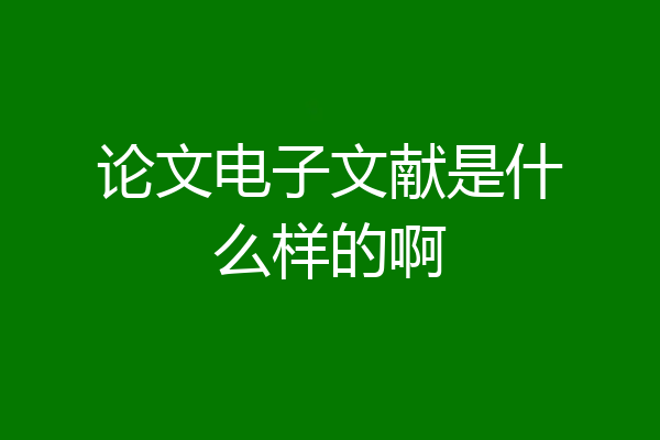 论文电子文献是什么样的啊