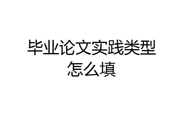 毕业论文实践类型怎么填