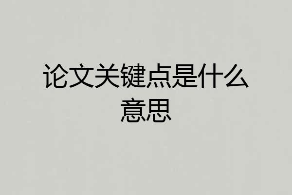 论文关键点是什么意思