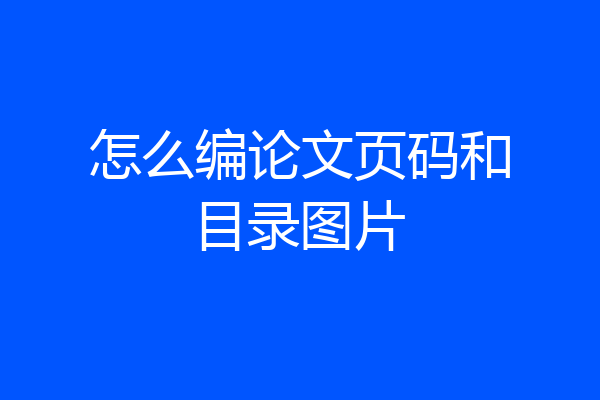怎么编论文页码和目录图片
