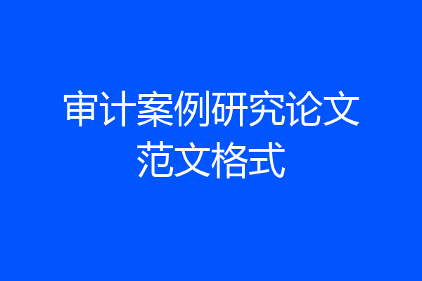 审计案例研究论文范文格式