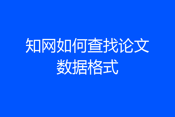知网如何查找论文数据格式