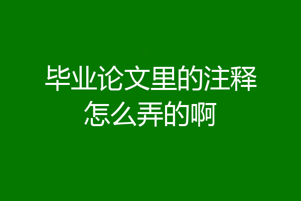 毕业论文里的注释怎么弄的啊