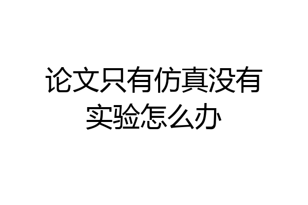 论文只有仿真没有实验怎么办