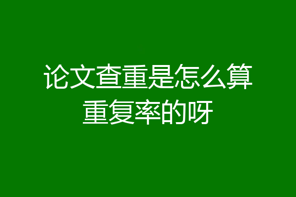论文查重是怎么算重复率的呀