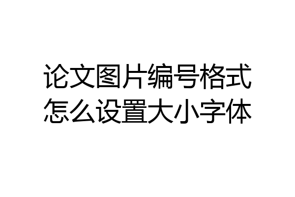 论文图片编号格式怎么设置大小字体