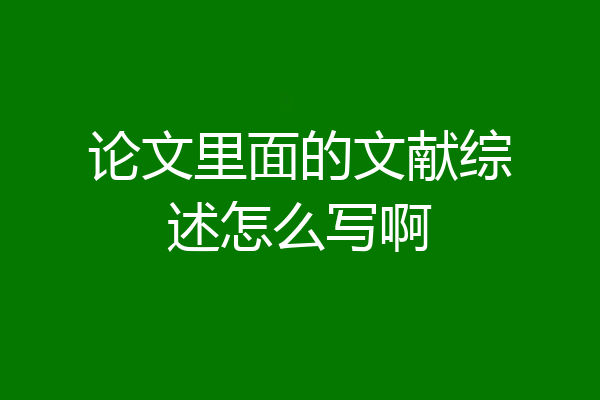 论文里面的文献综述怎么写啊