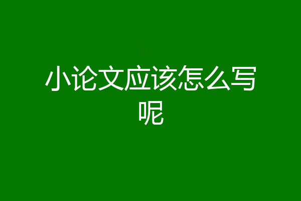 小论文应该怎么写呢