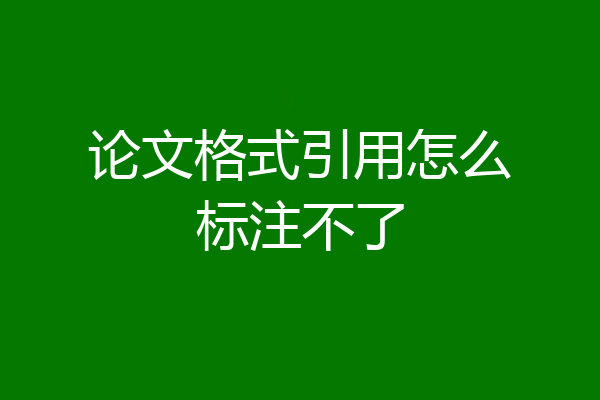 论文格式引用怎么标注不了