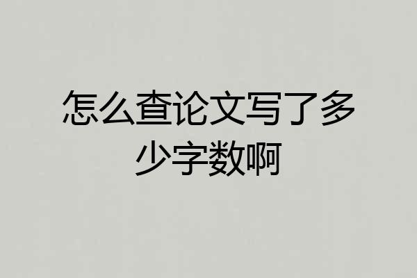 怎么查论文写了多少字数啊