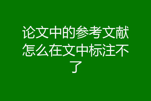 论文中的参考文献怎么在文中标注不了