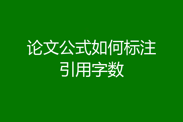 论文公式如何标注引用字数