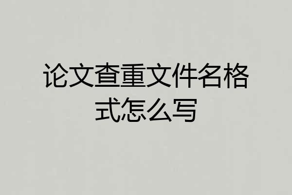 论文查重文件名格式怎么写