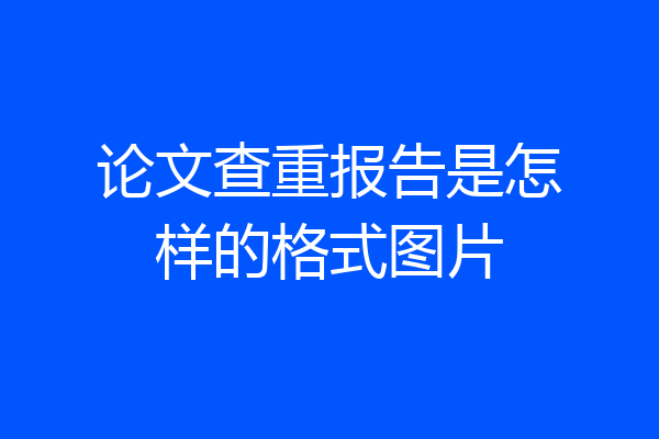 论文查重报告是怎样的格式图片