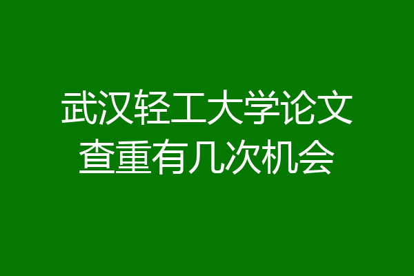 武汉轻工大学论文查重有几次机会