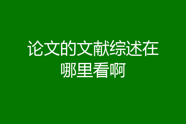 论文的文献综述在哪里看啊