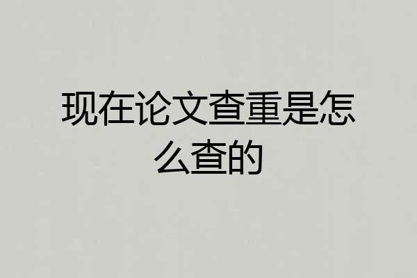 现在论文查重是怎么查的
