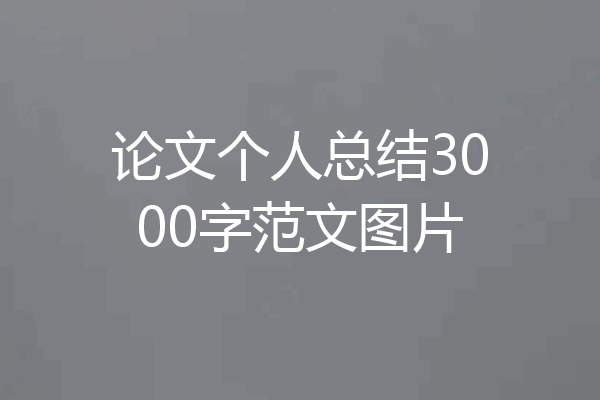 论文个人总结3000字范文图片