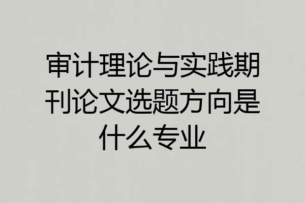 审计理论与实践期刊论文选题方向是什么专业