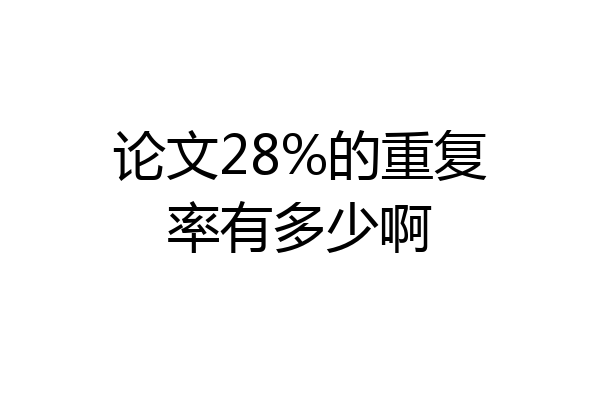 论文28%的重复率有多少啊