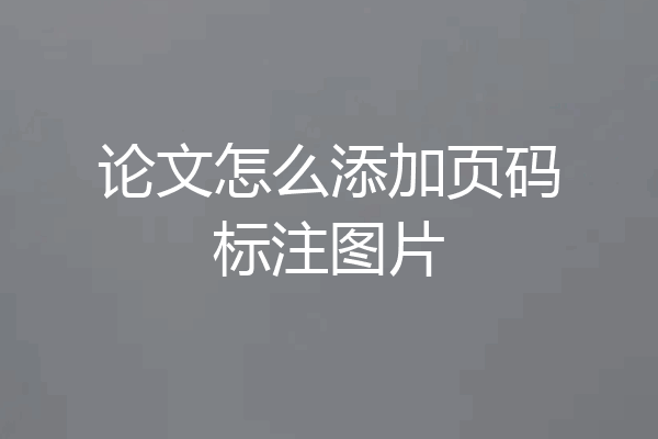 论文怎么添加页码标注图片