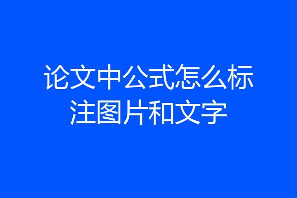 论文中公式怎么标注图片和文字